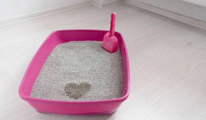 Najlepszy żwirek dla kota w kuwecie Najlepszy żwirek dla kota w kuwecie