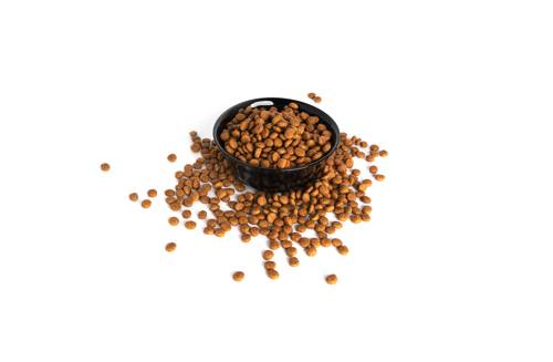 Najlepsza sucha karma dla psa