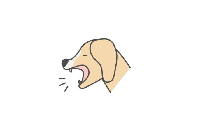 Najlepszy antyszczekacz z rankingu