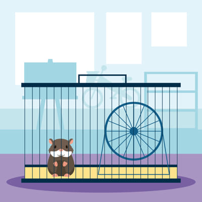 Bezpieczna klatka dla chomika
