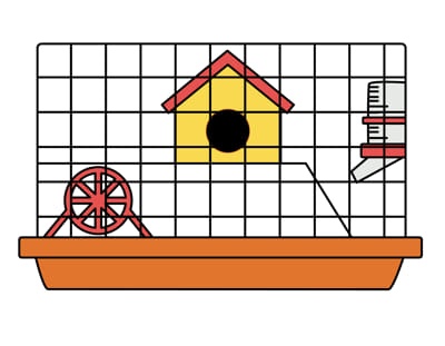 Zalety i wady klatek dla chomików