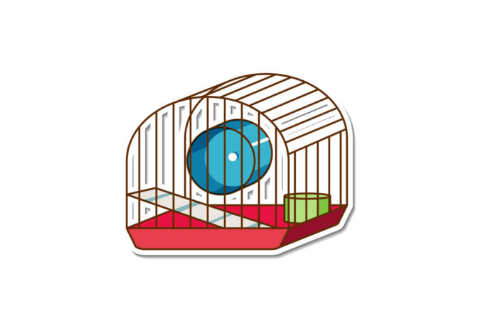 Najlepsza klatka dla świnki morskiej Najlepsza klatka dla świnki morskiej